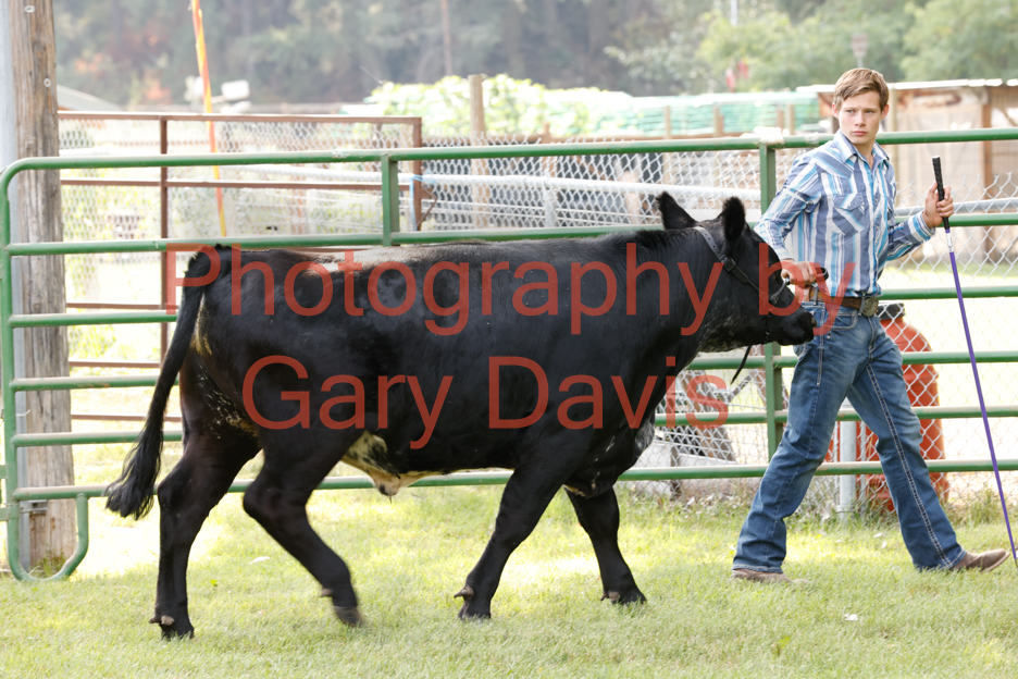_MG_0092 (2)